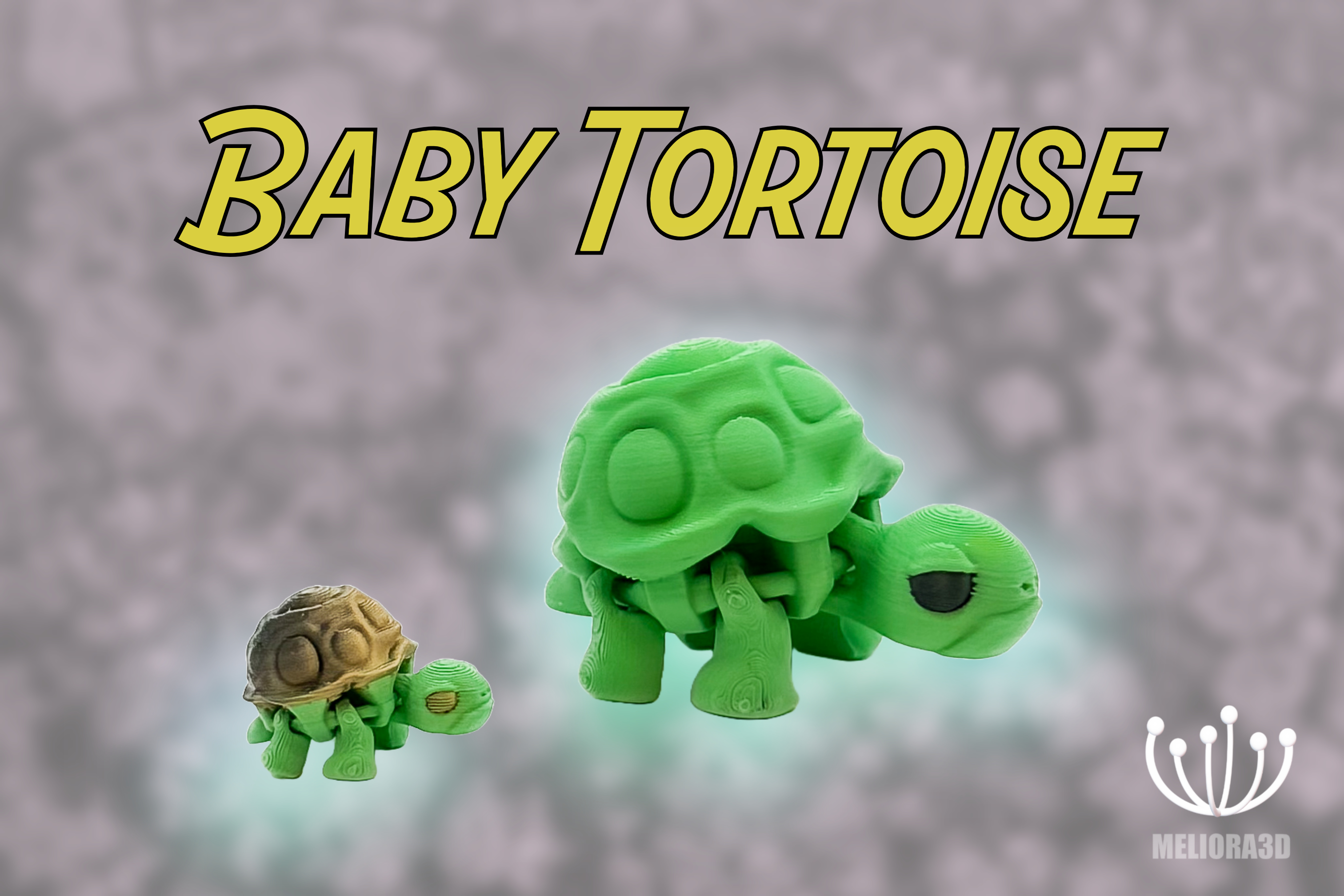 M3D - Baby Tortoise